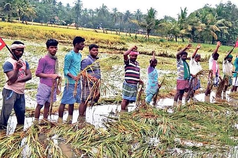 Ammapettai farmers stage protest on submerged field in Thanjavur on Monday