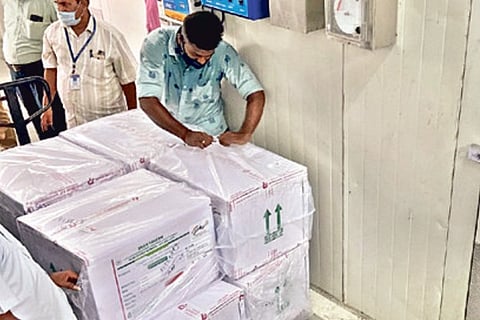 The first batch of Covishield being taken to cold storage in Chennai.