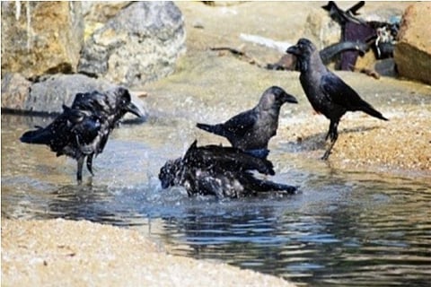 Representative Image