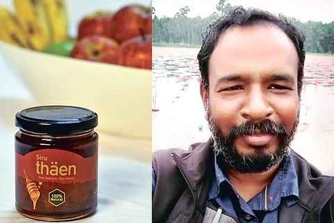 Siru thaen is collected from dammer bee (Indian stingless bee); Sridhar Lakshmanan