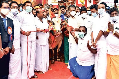 AIADMK govt, OPS protected Tamils’ rights on jallikattu: CM