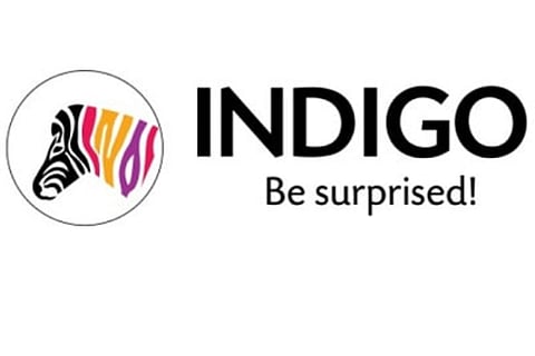 Indigo Paints IPO subscribed 1.90 times on first day