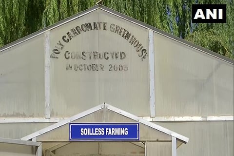 Representative Image (ANI)