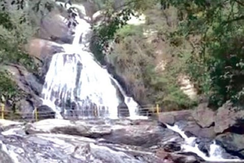 Monkey Falls renamed Kaviyaruvi