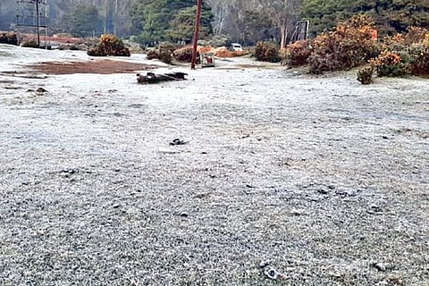 A thick blanket of snow seen in one of the areas in The Nilgiris.