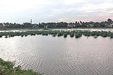 File picture of Chitlapakkam lake.