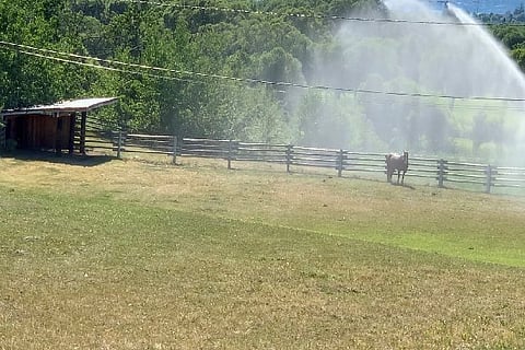 Image Courtesy: Reuters