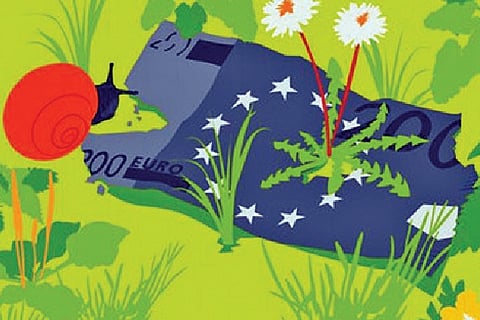 The link between climate care and fiscal growth