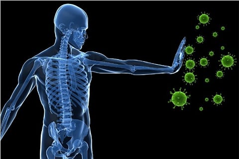 Traditional blends to boost immunity naturally