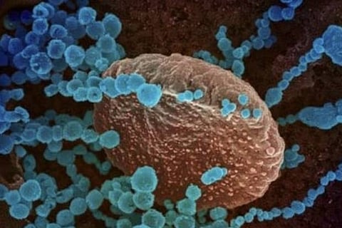 Representative Image(Reuters)