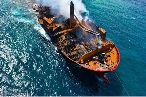 176 turtles, 20 dolphins dead after cargo ship fire in SL