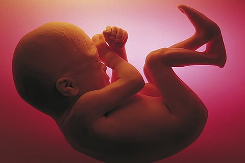 How our immune system may help prevent miscarriage