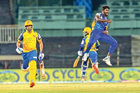 Madurai Panthers pacer J Kousik celebrates after taking his third Dindigul Dragons wicket