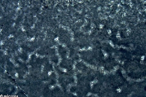 The oldest animal fossils ever found, or just squiggles?