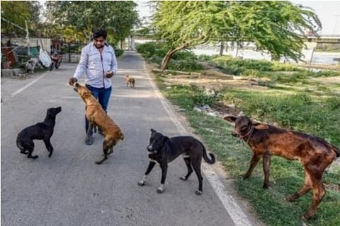 Representative Image: PTI