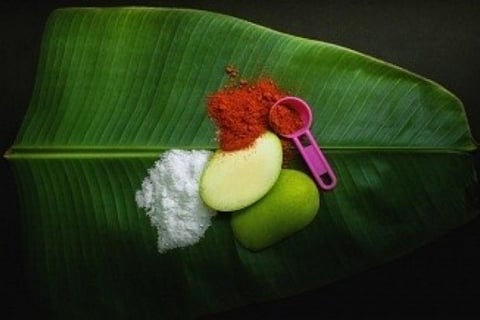 Image courtesy: IANS