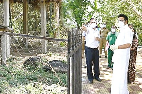 Chief Minister MK Stalin inspecting the animal enclosures at Vandalur Zoo on Sunday