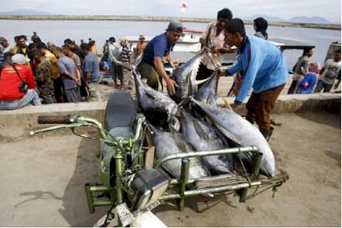 Lakshwadeep commences exporting tuna fish to Japan
