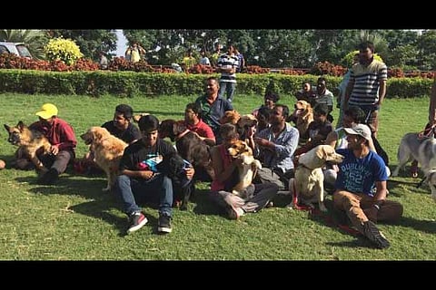 Pet park to come up in cityunder Singara Chennai 2.0