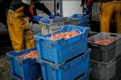 EU Council approves deal with UK on fishing opportunities