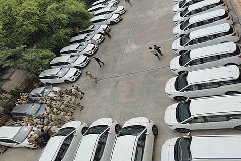 32 brand new Kia Carnival MUVs at the Pragati Bhavan (Source: ANI)