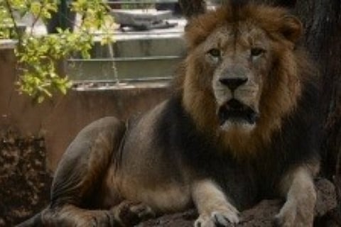 Image courtesy: IANS