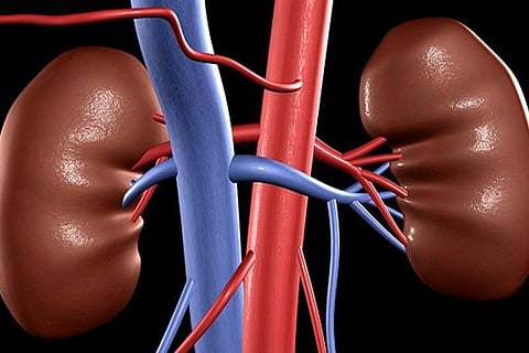 Image courtesy: Reuters