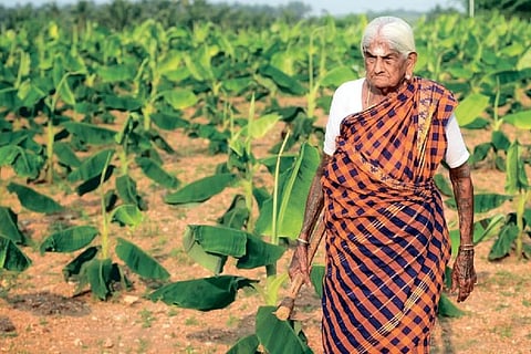 Pappamal at her farm.