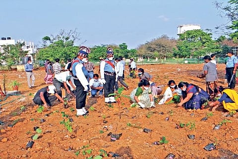 Director Mini Shaji Thomas, faculty and students during a plantation drive on Monday