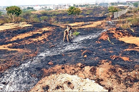 The burnt forest area near Coimbatore on Tuesday