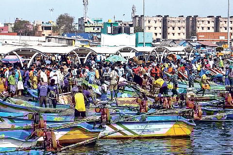 Crowded Kasimedu market on Friday