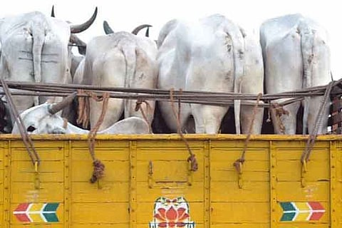 Representative image.