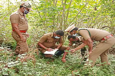 Forest officials conducting a wildlife census in ATR