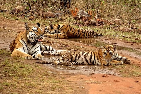 Representative Image