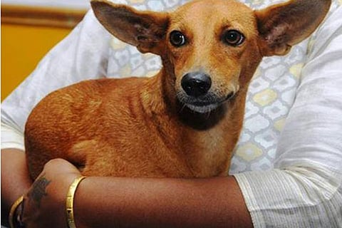 Representative Image