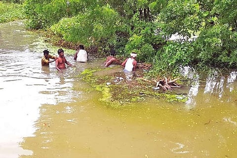 Workers removing vegetation from a storm water canal in Papanasam in Thanjavur on Monday