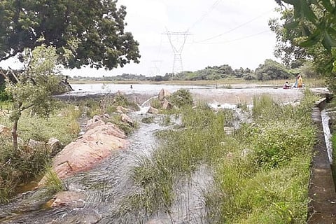 Water inflow into Vedanthangal has been hit due to poor maintenance and lack of funds