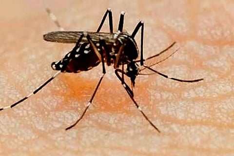 Representative image (Source: IANS)