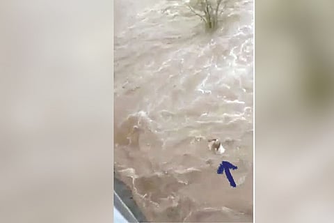 Kurunakaran in water