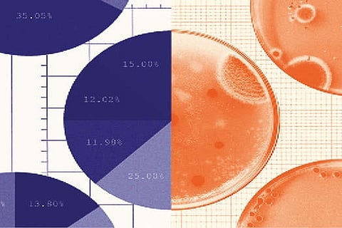 A balancing act: Bridging economists and epidemiologists