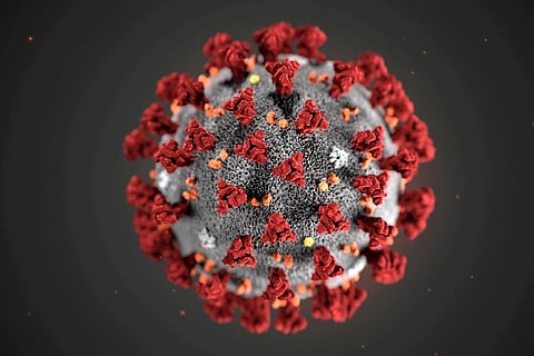 (Image Courtesy: Reuters)