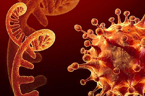 Representative Image