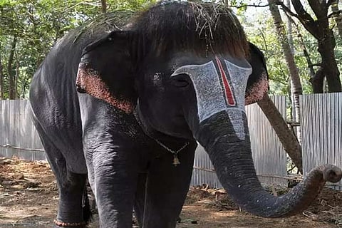 Representative image.