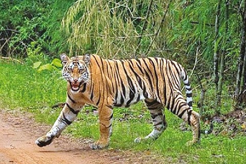 Representative Image