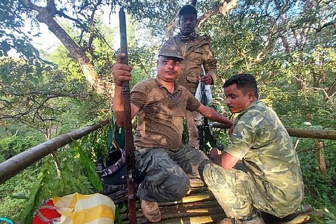 Forest department officials wait for a sighting of tiger T23.