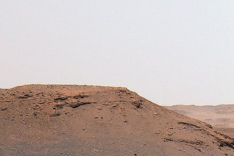 (Image Courtesy: Twitter) NASA Mars