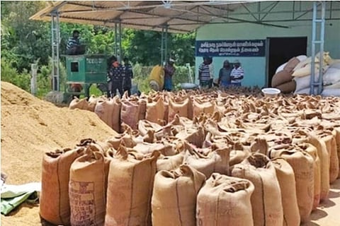 Paddy which had moisture content more than prescribed level being dried at a DPC in Thanjavur