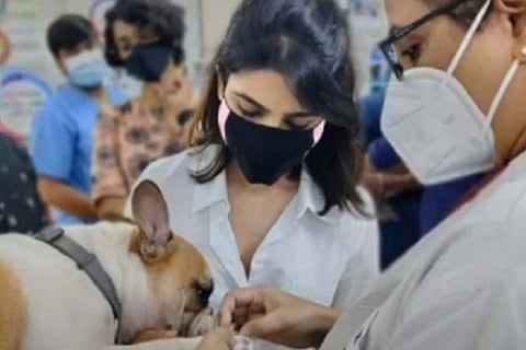 Actress Samantha at a pet clinic