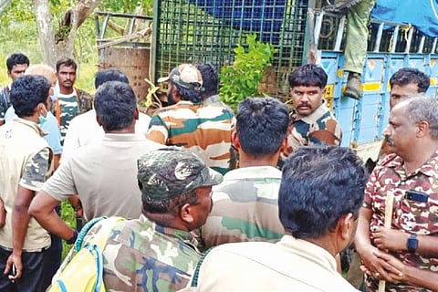 Foresters and villagers discussing the operation before the tiger was caught in The Nilgiris on Frid
