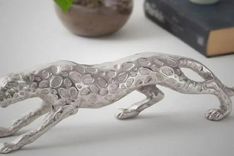 Image Courtesy: IANS